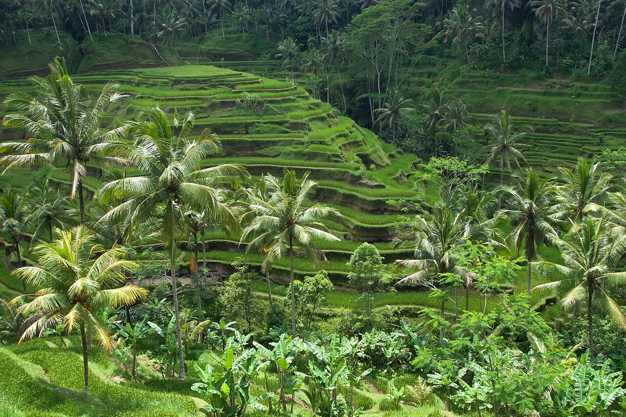 Bali Island Paradise & Nusa Penida