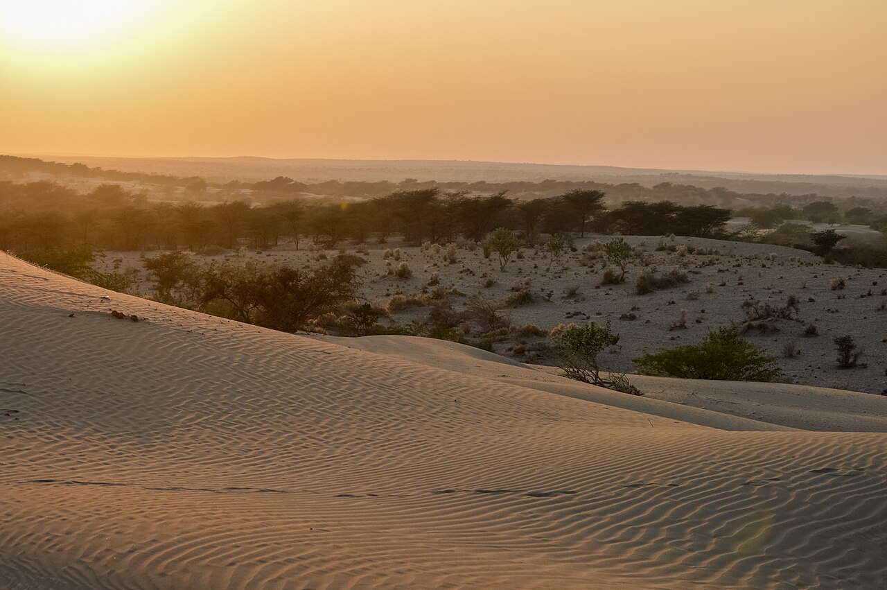 Jaisalmer Desert Safari & Golden Fort