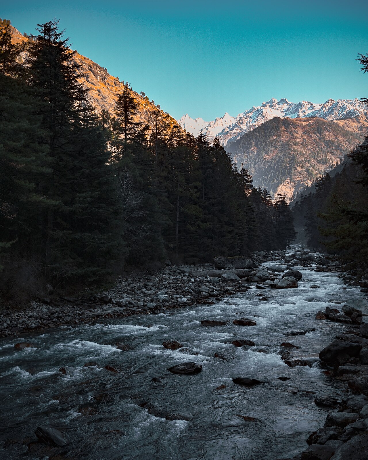 Kasol & Kheerganga Trek from Delhi