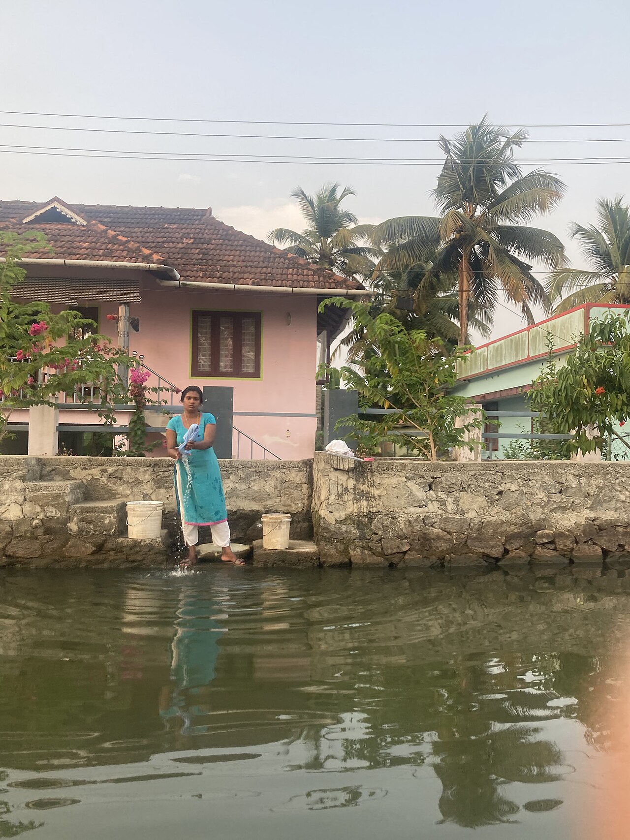 Kerala Backwaters view 1